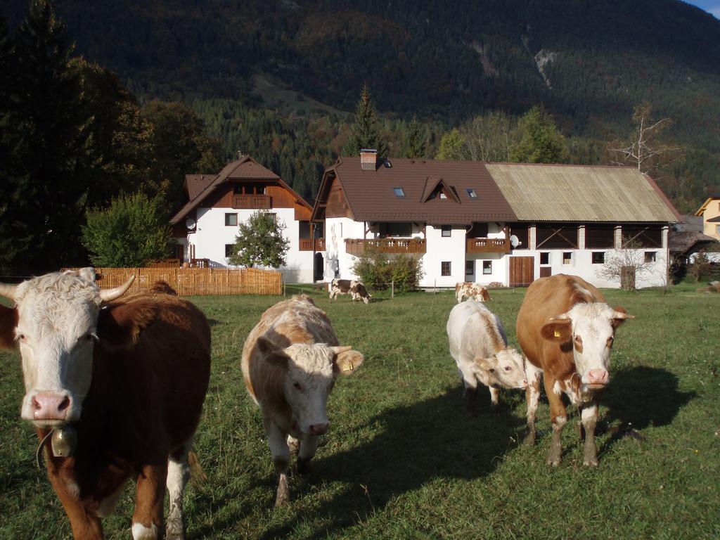 Farm Kosir Villa Kranjska Gora Exterior photo