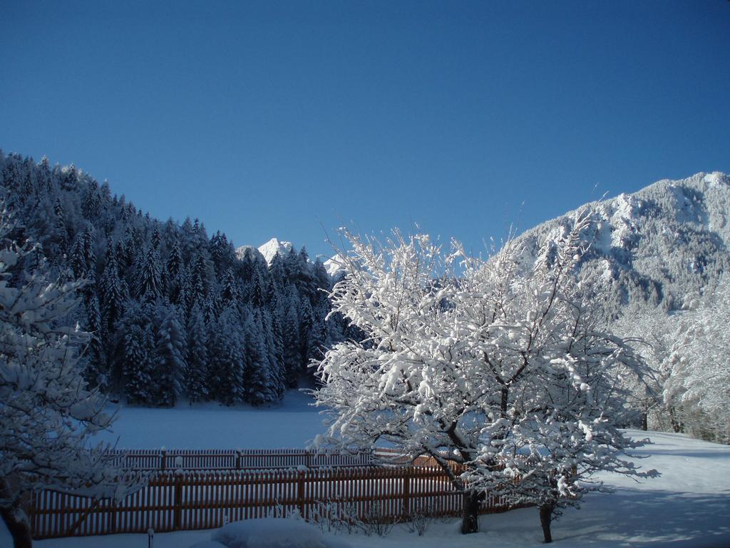Farm Kosir Villa Kranjska Gora Exterior photo