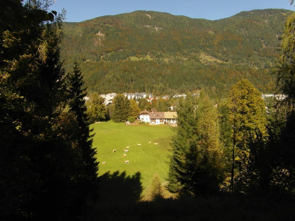 Farm Kosir Villa Kranjska Gora Exterior photo